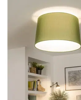 Svietidlá BRILAGI - LED prisadený luster CERIA 1xE27/40W/230V pr. 45 cm zelená BG3991+EG781045