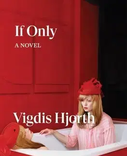 Svetová beletria If Only - Vigdis Hjorth,Charlotte Barslund