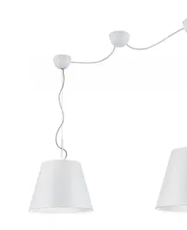 Svietidlá Trio - Luster na lanku ANDREUS 2xE27/60W/230V 307500289