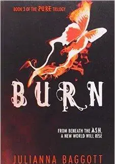 Cudzojazyčná literatúra Burn - Julianna Baggott