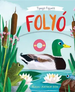 Leporelá, krabičky, puzzle knihy Tipegő figyelő - Folyó - Csúszkák minden oldalon