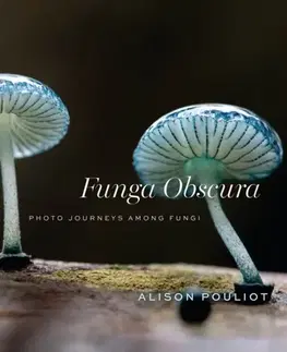 Záhrada Funga Obscura - Alison Pouliot