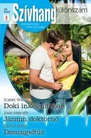 Romantická beletria Szívhang különszám 79. - Drake Dianne,Metcalfe Josie,Wilson Scarlet