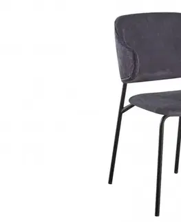 Jedálenské stoličky a kreslá Jedálenská stolička 2 ks CHRYSAOR Dekorhome