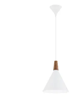Svietidlá Argon 8630 - Luster na lanku KEGEL 1xE27/15W/230V biela 8630