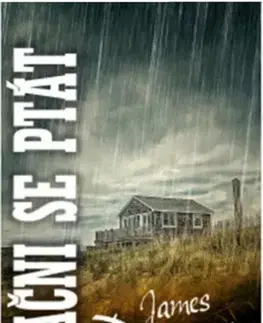 Detektívky, trilery, horory Začni se ptát - James Patterson,Božena Chovancová
