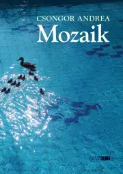 Svetová beletria Mozaik - Andrea Csongor