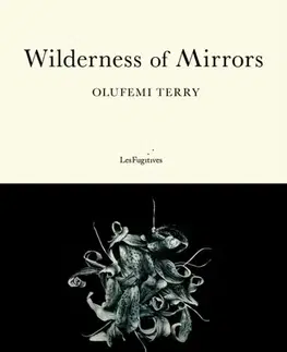 Beletria Wilderness of Mirrors - Olufemi Terry