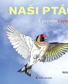 Pre deti a mládež - ostatné Naši ptáci k poznání a vybarvení - Václav Minář