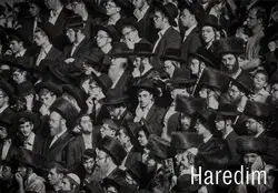 Fotografia Haredim - Eliška Blažková