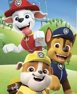 Osušky pre bábätká Detská osuška PAW PATROL team 70X140cm Setino Tiahome