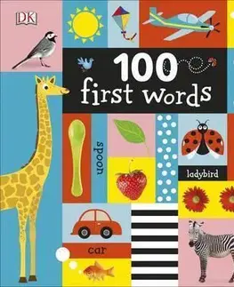 Leporelá, krabičky, puzzle knihy 100 First Words