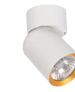 Svietidlá  Bodové svietidlo ANDY 1xGU10/8W/230V biela/zlatá ML9932