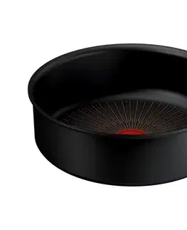 Panvice a hrnce Tefal - Panvica INGENIO Excellence Fusion 24 cm P0053553
