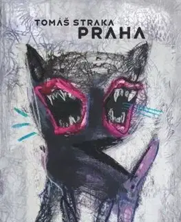 Slovenská poézia Praha - Tomáš Straka
