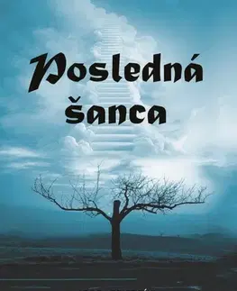 Slovenská beletria Posledná šanca - Igor Lebiedzík