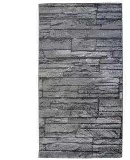 Moderné koberce Koberec Trendy 0,8/1,5 TRE 404