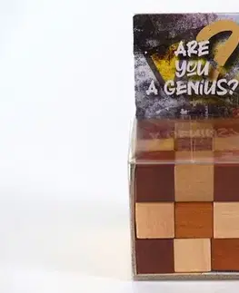 RecentToys RecentToys Are you a Genius
