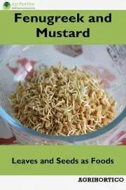 Hobby - ostatné Fenugreek and Mustard