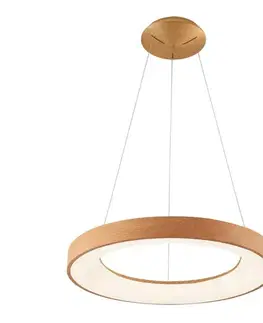 Svietidlá Azzardo  - LED Stmievateľný luster na lanku SANTANA LED/50W/230V hnedá + DO 