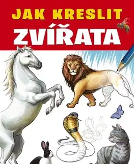 Kreslenie, maľovanie Jak kreslit zvířata - Kolektív autorov,Marie Dupalová