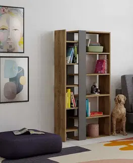 Regály Designová knižnica ZAPHIRA, orech Hit / antracit