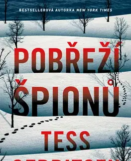 Detektívky, trilery, horory Pobřeží špionů - Tess Gerritsen