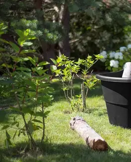 Záhradné vozíky KETER Vozík CASUAL BREEZE 50 L | čierna