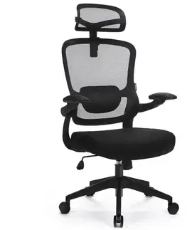 Otočné kreslá Kancelárske kreslo Ergo Basic Lv0652