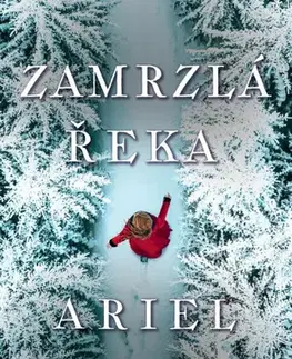 Historické romány Zamrzlá řeka - Ariel Lawhon,Karolina Medková