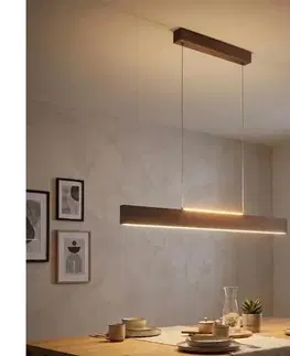 Svietidlá Eglo 39347 - LED stmievateľný luster na lanku CLIMENE LED/21W/230V + LED/8,4W 39347