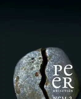 Svetová beletria Nem a sajátod - Krisztián Peer