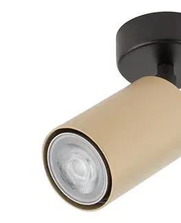 Svietidlá  Bodové svietidlo ZOOM 1xGU10/25W/230V čierna/zlatá 33319