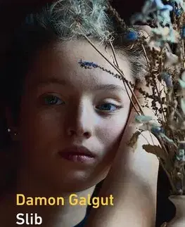 Romantická beletria Slib - Damon Galgut