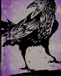 Cudzojazyčná literatúra Raven - Edgar Allan Poe