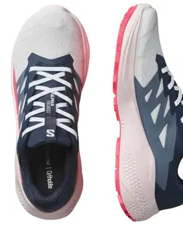 Trail Salomon Alphaglide GTX M Veľkosť: 44 EUR