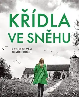 Detektívky, trilery, horory Křídla ve sněhu - Patricia Gibney