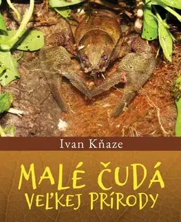 Biológia, fauna a flóra Malé čudá veľkej prírody - Ivan Kňaze