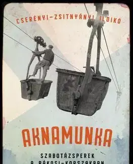 Historické romány Aknamunka - Ildikó Cserényi-Zsitnyányi