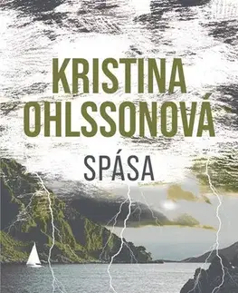 Detektívky, trilery, horory Spása - Kristina Ohlsson,Martin Severýn,Viola Somogyi,Vendula Nováková