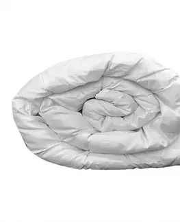 Bytový textil Letná perina 200x220 cm biela