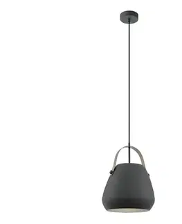 Svietidlá Eglo 98349 - Závesný luster BEDNALL na lanku 1xE27/60W/230V 98349