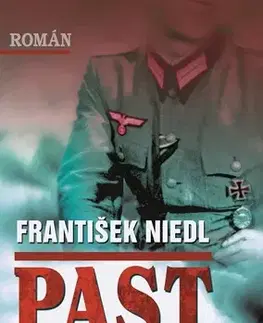 Detektívky, trilery, horory Past - František Niedl