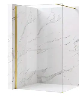 Sprchové dvere REA/S - Sprchová zástena Flexi Transparent / Gold 100 KPL-K99562