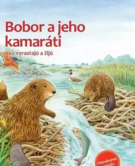 Rozprávky Bobor a jeho kamaráti