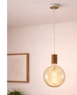 Svietidlá Eglo 49071 - Luster na lanku TAVISTOCK 1xE27/40W/230V 49071