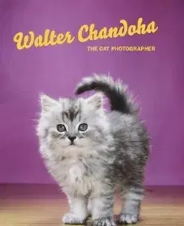 Fotografia Walter Chandoha: The Cat Photographer - Kolektív autorov