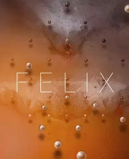 Maliarstvo, grafika Felix - Kolektív autorov