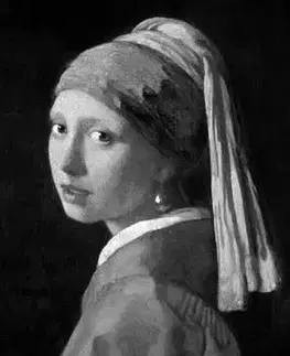 Výtvarné umenie Vermeer - Ludwig Goldscheider,Wayne Franits