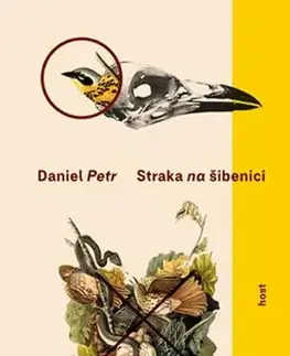 Česká beletria Straka na šibenici - Daniel Petr